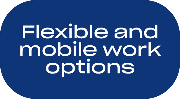 flexible and mobile work options
