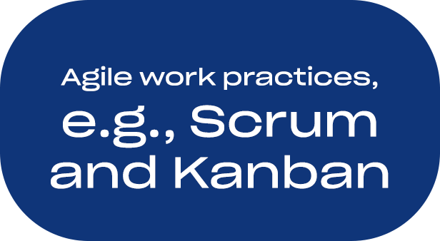 agile work practices e.g., scrum and kanban