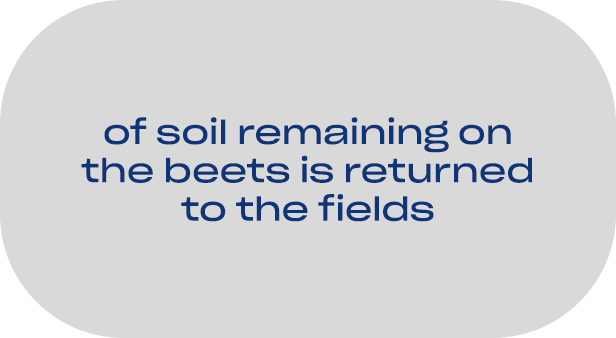 of soil remaining on the beets is returned to the fields