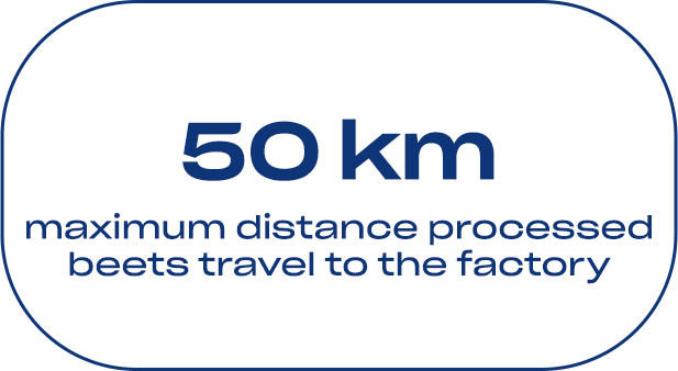 50km maximum distance processed beets travel to the factory