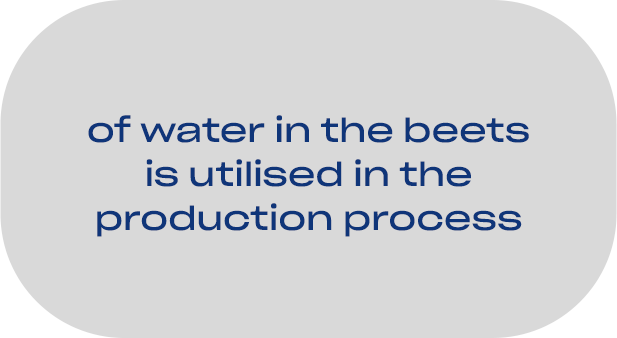 of water in the beets is utilised in production process