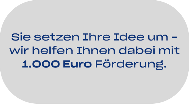 Sie setzen Ihre Idee um - wir helfen Ihnen dabei mit 1000 Euro Förderung
