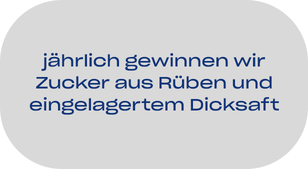 jährlich gewinnen wir Zucker aus Rüben und eingelagertem Dicksaft