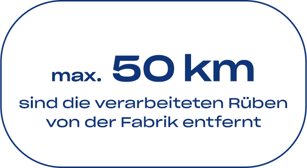 maximal 50 Kilometer sind die verarbeiteten Rüben von der Fabrik entfernt