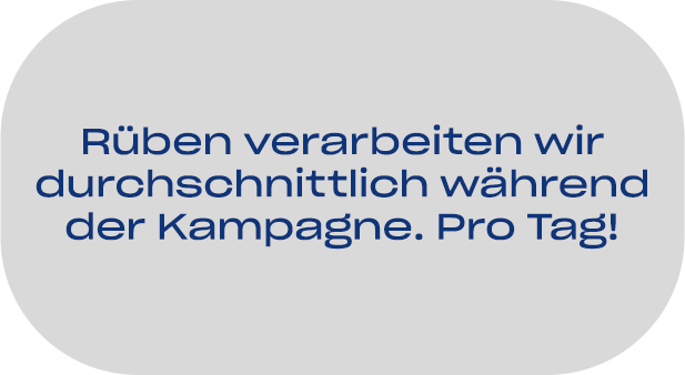 08-pfeifer-und-langen-standortfakten-gostyn-zuckerproduktion-02-2x