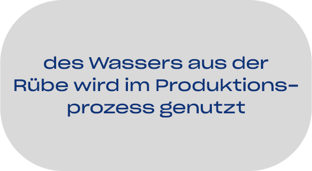 des Wassers aus der Rübe wird im Produktionsprozess genutzt