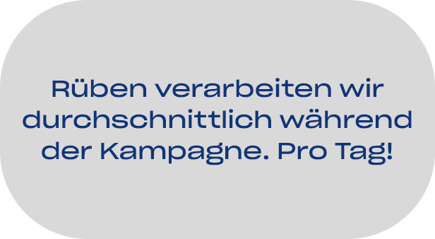 05-pfeifer-und-langen-standortfakten-miejska-gorka-zuckerproduktion-02-2x