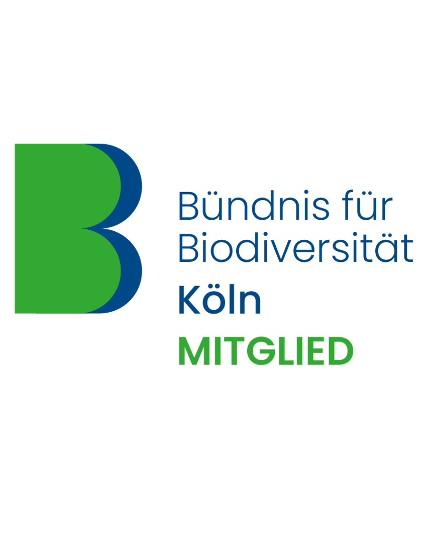 Grafisches Mitgliedslogo des Bündnisses für Biodiversität Köln mit einem stilisierten grünen und blauen ‚B‘ links sowie dem Schriftzug ‚Bündnis für Biodiversität Köln Mitglied‘ auf hellgrauem Hintergrund.