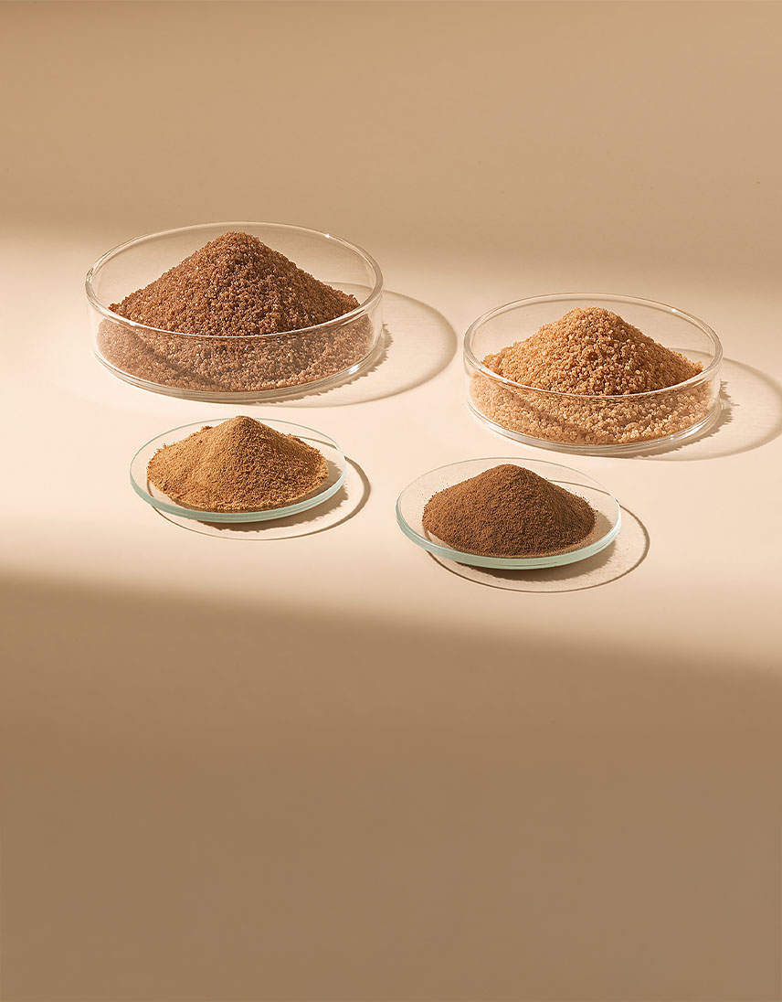 pfeifer-und-langen-produkte-nahrungsmittelindustrie-kandisfarine-2x-en