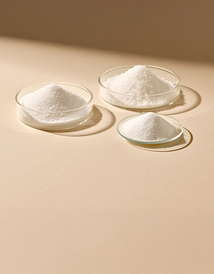 pfeifer-und-langen-produkte-nahrungsmittelindustrie-kristallzucker-food-2x-en