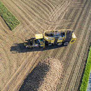 Eine landwirtschaftliche Erntemaschine arbeitet auf einem Feld, aufgenommen aus der Luft.