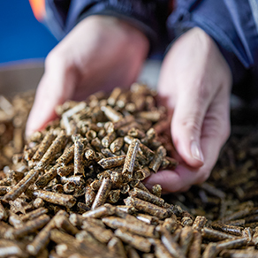 Zwei Hände halten braune Pellets über einem Behälter voller Pellets.