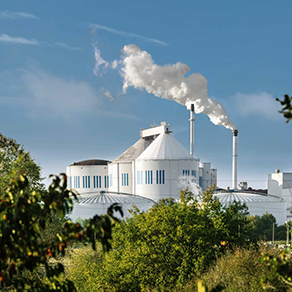 Zuckerfabrik mit Silos und Schornstein, aus dem Dampf aufsteigt.