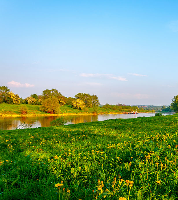 Grüne Wiese mit Fluss in einer ländlichen Landschaft.