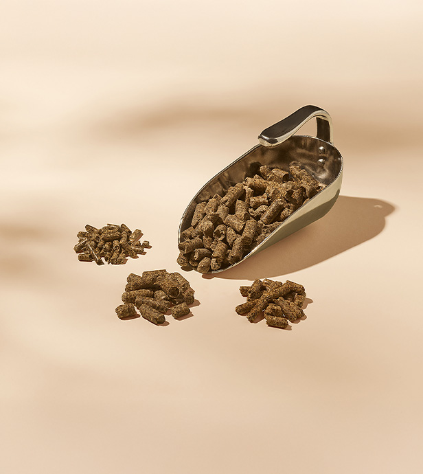pfeifer-und-langen-produkte-futtermittelindustrie-betapur-pellets-2x-en