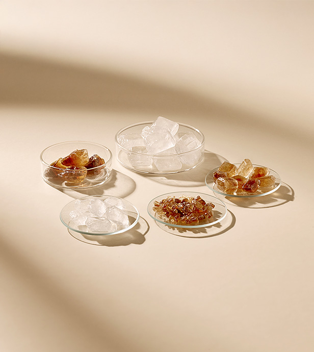 Mehrere kleine Glasgefäße mit unterschiedlichen Zuckerformen wie weißem und braunem Kandis auf hellem Hintergrund.