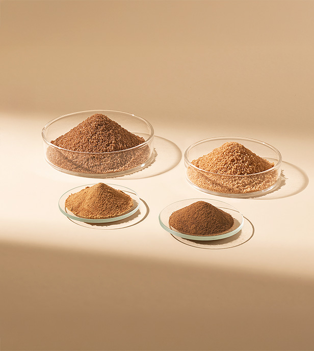 Mehrere Glasgefäße mit unterschiedlichen braunen Zuckerformen und -körnungen auf hellem Hintergrund.