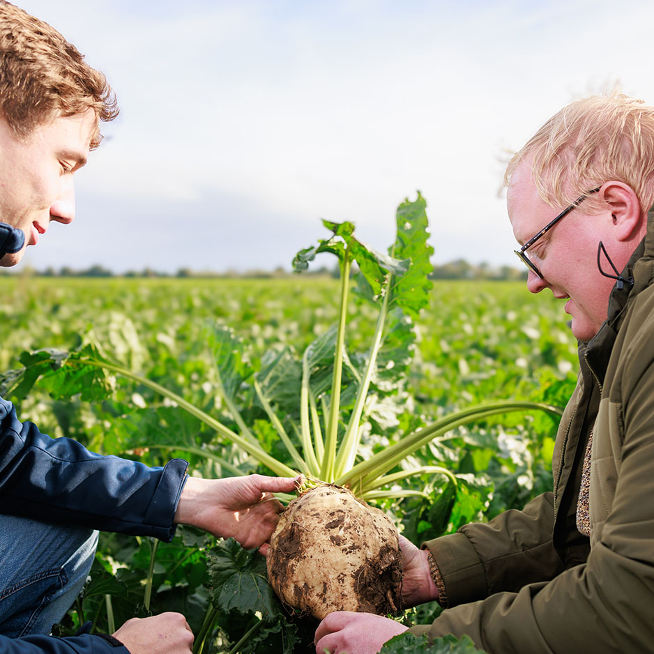 pfeifer-und-langen-karriere-berufsfeld-landwirtschaft-2x-en