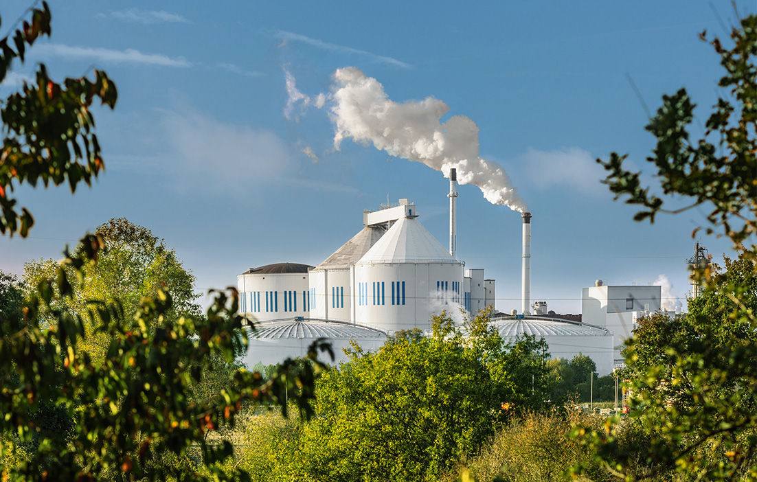 Zuckerfabrik mit Silos und Schornstein, aus dem Dampf aufsteigt.