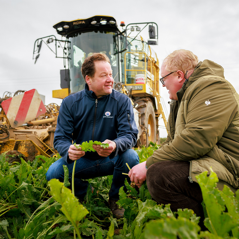 pfeifer-und-langen-landwirtschaft-partnerschaft-zuckerruebenanbau-2x-en