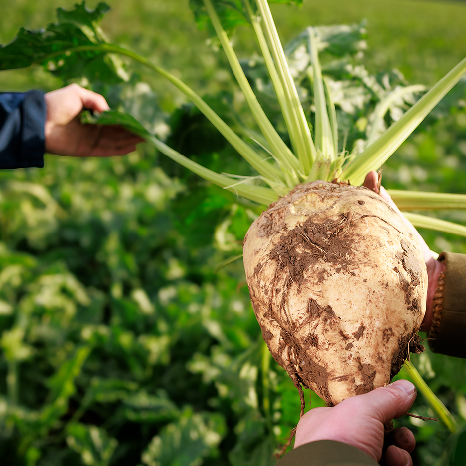 pfeifer-und-langen-landwirtschaftlich-partnerschaft-vertrauen-2x-en
